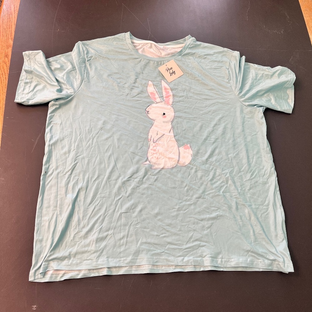 Pixie Lady lounge set bunny print in blue size 2x. NWOT